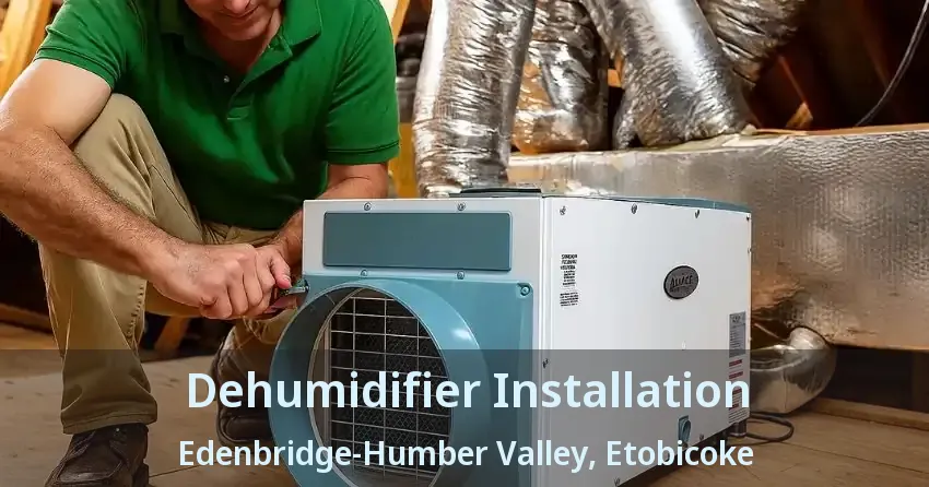 Dehumidifier Installation Edenbridge-Humber Valley, Etobicoke - ON