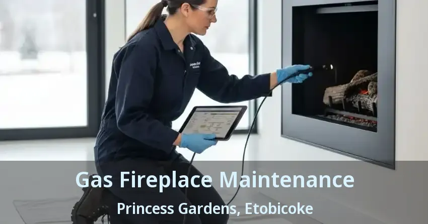 Gas Fireplace Maintenance Princess Gardens, Etobicoke - ON