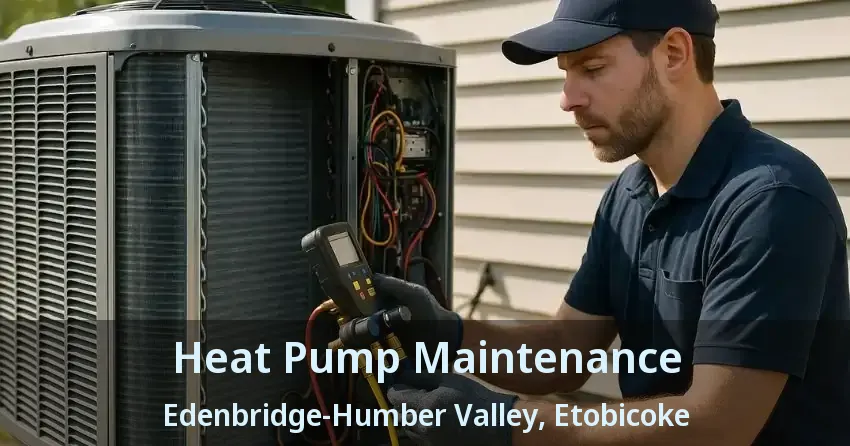 Heat Pump Maintenance Edenbridge-Humber Valley, Etobicoke - ON