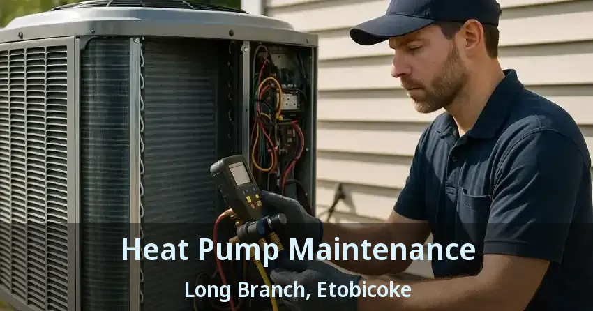 Heat Pump Maintenance Long Branch, Etobicoke - ON