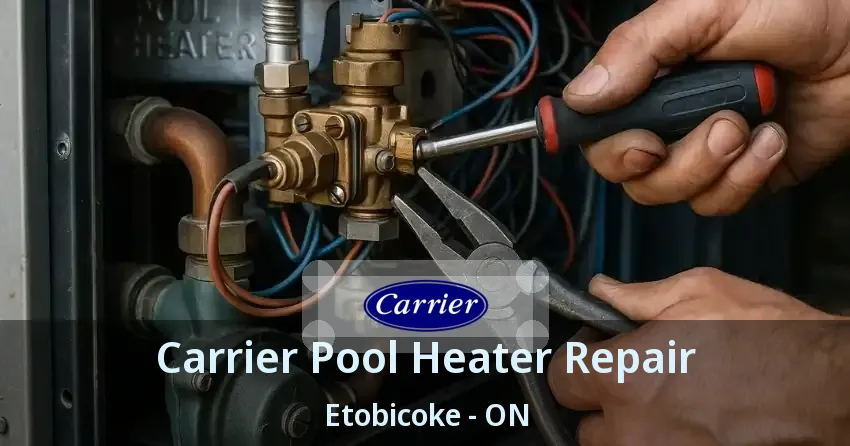 Carrier Pool Heater Repair Etobicoke - ON
